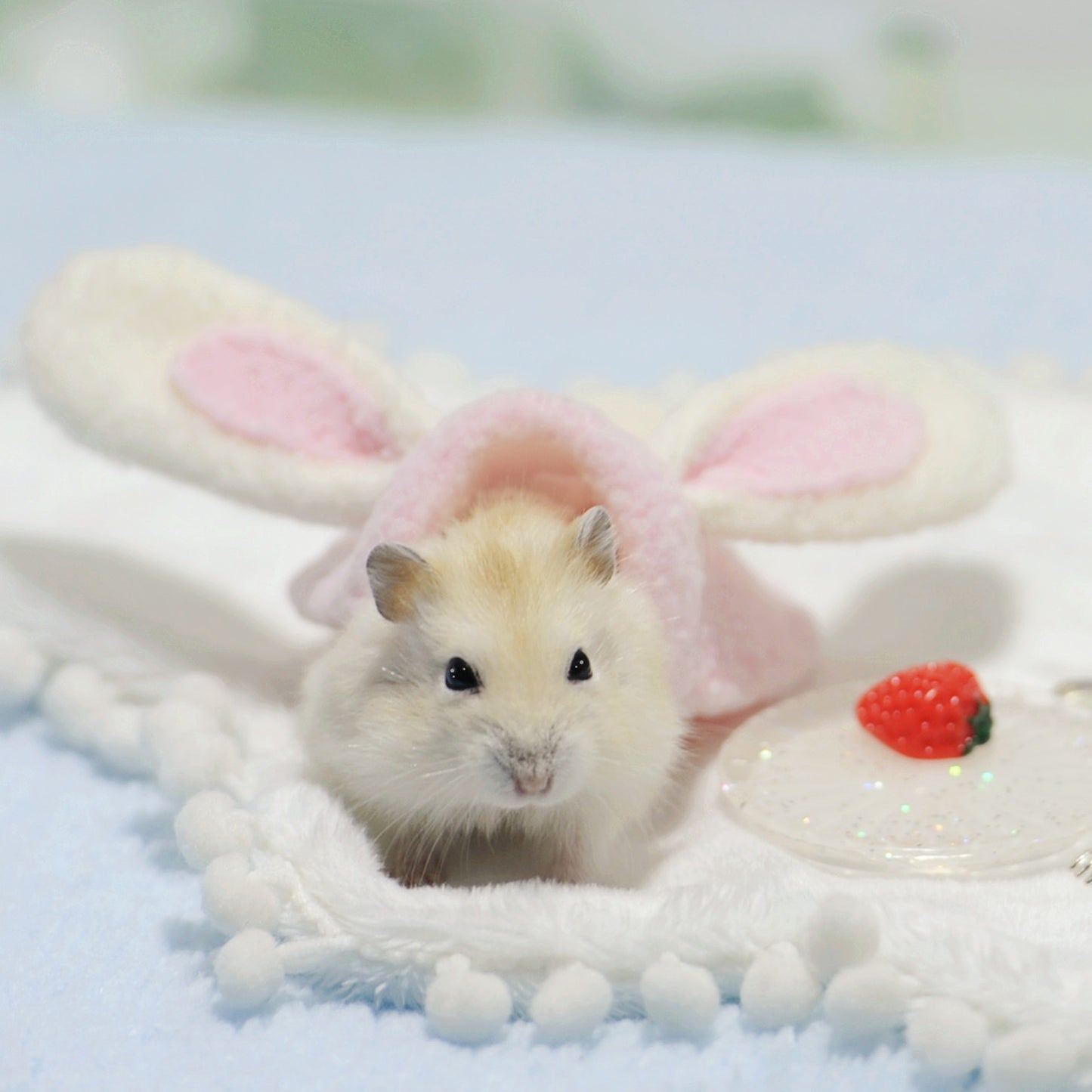 Pet Hamster Clothes – Cute & Comfy Apparel for Hamsters